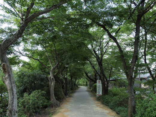 49272 (a): :1600x1200